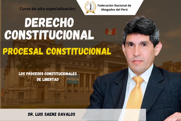 Curso: Derecho Constitucional y Procesal Constitucional